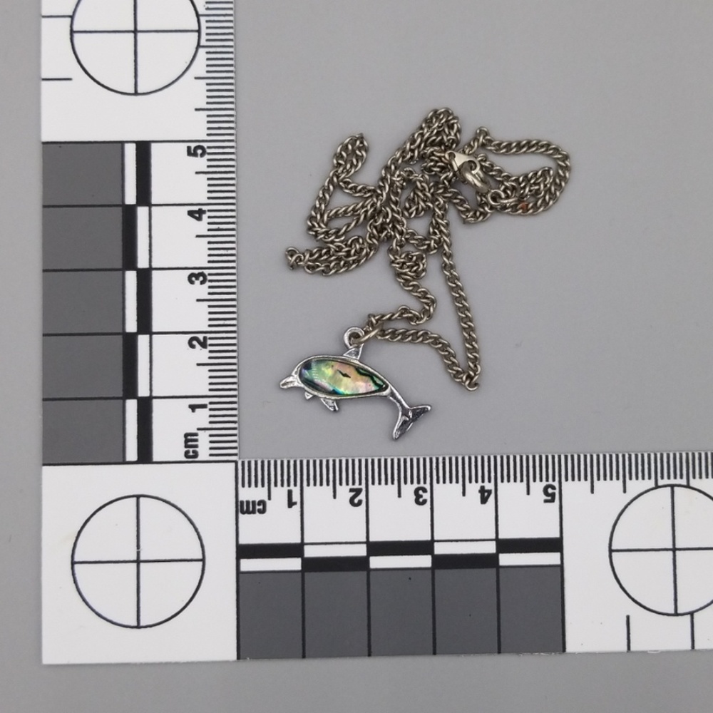Dolphin Necklace with Silver Chain